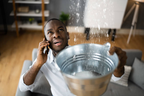  Chuluota, FL Water damage restoration Pros