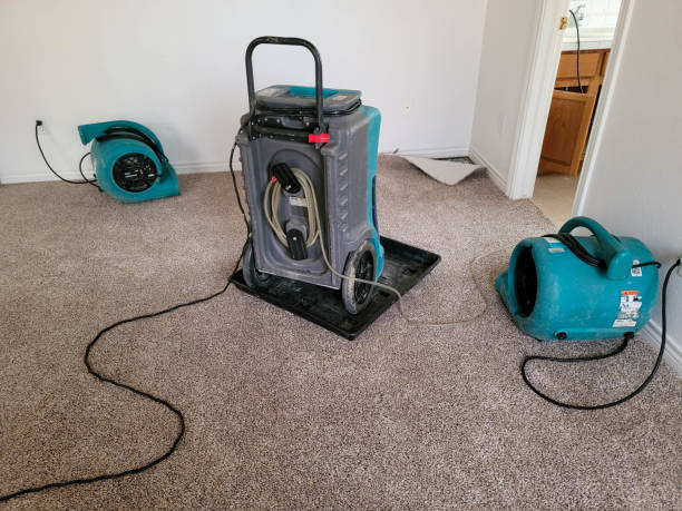 Best Carpet water damage restoration  in Chuluota, FL