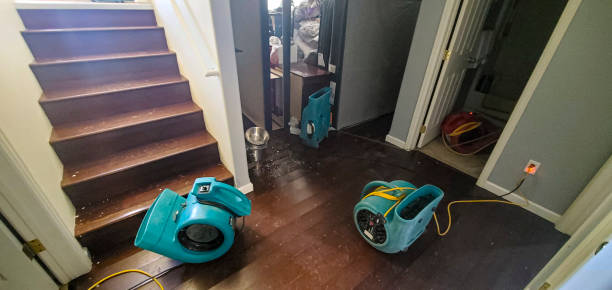 Best Water damage restoration insurance claims  in Chuluota, FL