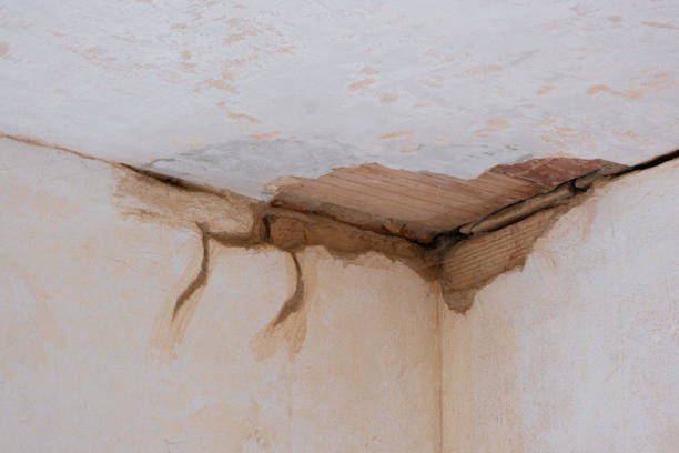 Best Ceiling water damage repair  in Chuluota, FL