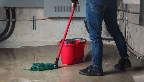 Best Mold removal after water damage  in Chuluota, FL