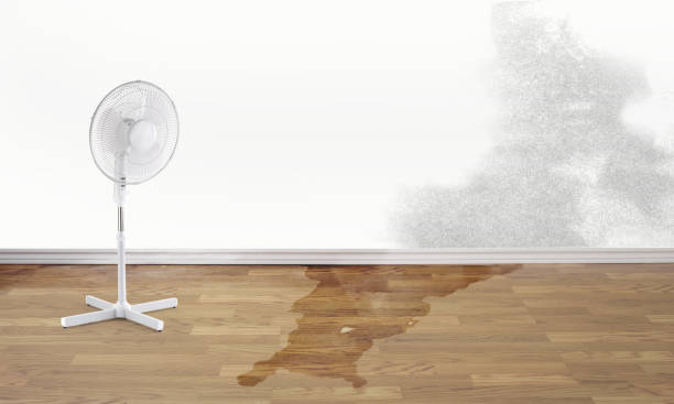 Best Flood restoration services  in Chuluota, FL