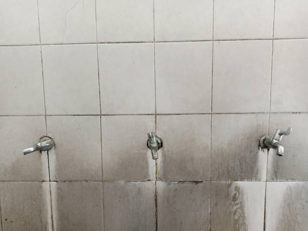 Best Water damage restoration near me  in Chuluota, FL