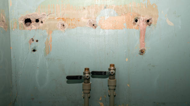 Best 24/7 water damage repair  in Chuluota, FL