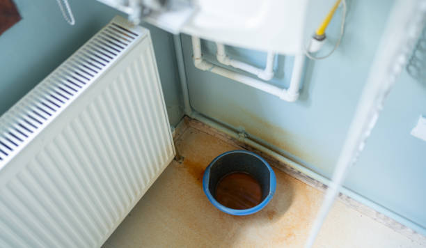 Best Flooded house restoration  in Chuluota, FL