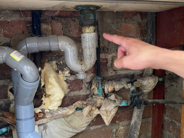 Best Fire Damage Restoration  in Chuluota, FL