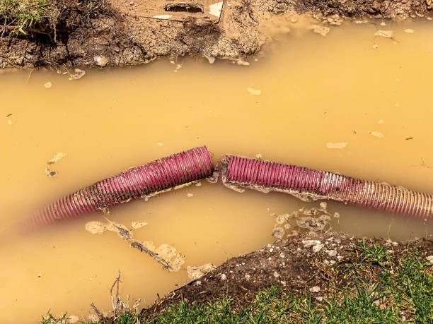 Best Water damage cleanup near me  in Chuluota, FL