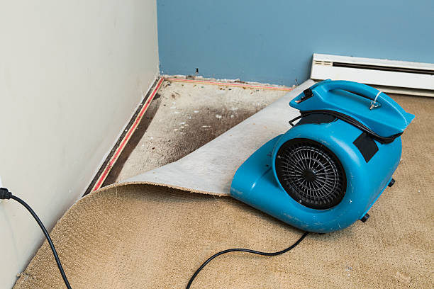 Carpet water damage restoration in FL
